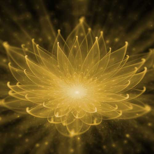 CCA--lotus-DH-Light-dark-2025