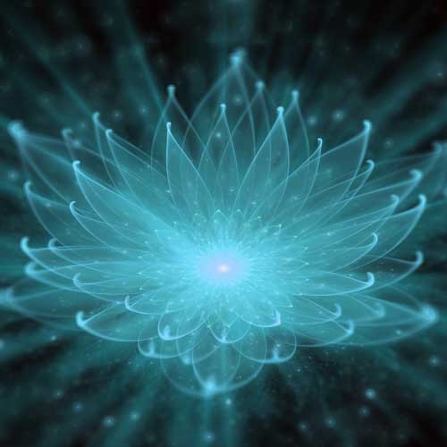 Soul Contract Reading Training review-Jeanine T, America