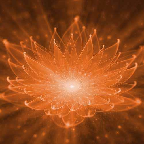 Spiritual numerology training graduate-Angie P, USA